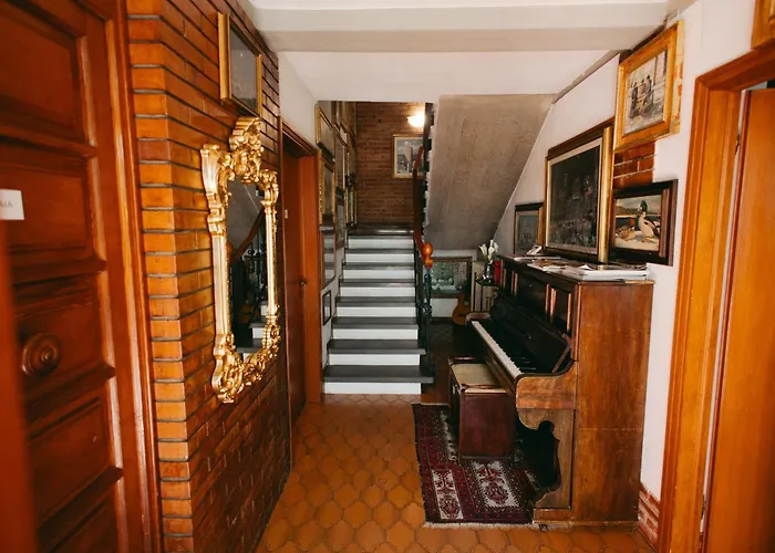 Enzo\'S House